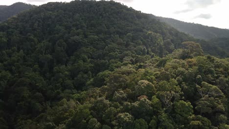 Aerial-footage-of-pristine-tropical-woodland-rain-forest