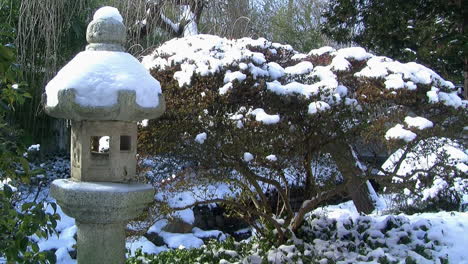 Schnee-Bedeckt-Eine-Laterne-Und-Sträucher-In-Einem-Japanischen-Garten