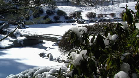Frozen-pond-with-footbridge-in-a-Japanese-garden-in-winter