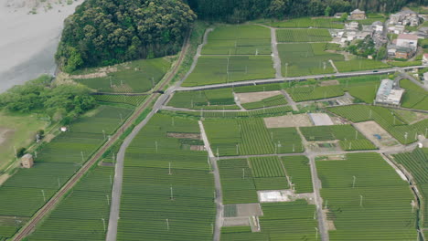 Panoramic-View-Of-Lush-Tea-Farms-In-Kawane,-Shizuoka,-Japan---aerial-drone-shot