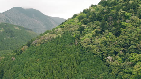 Vista-Panorámica-De-Las-Exuberantes-Montañas-Verdes-De-Kawane-En-Shizuoka,-Japón---Retroceso-Aéreo
