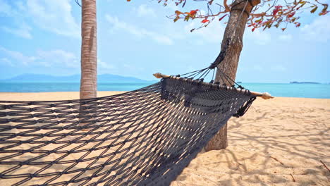 Empty-rope-hammock-hanging-between-trees-on-sandy-tropical-island-beach-on-a-sunny-cloudy-day-in-Hawaii