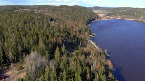 Aerial-Shot-Of-Road-along-Lake-,-Surrounding-Scenic-Boreal-Forest
