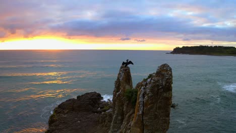 Aerial-view-of-Cormorant-moving-Wings-against-dramatic-Sunrise-sky-and-Calm-Ocean-at-Cathedral-Rocks,-Kiama-Downs,-NSW-Australia---Orbiting-Slow-Motion-Aerial-shot