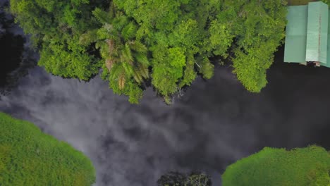 Aerial-drone-view,-vertical-tracking-look-down-shot:-the-Tortuguero-Canals-in-Costa-Rica,-with-the-clear-river-water-reflecting-the-clouds-in-the-sky-and-a-lush-vegetation
