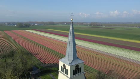 Bell-tower-of-white-idyllic-church-of-Benningbroek-in-Dutch-Countryside,-tulips
