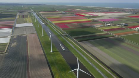 Typical-Dutch-landscape-with-renewable-energy-windmills,-canal-and-tulip-field