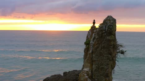 Aquatischer-Vogelkormoran-Auf-Kathedralenfelsen-Gegen-Goldenen-Sonnenunterganghimmel-In-New-South-Wales,-Australien