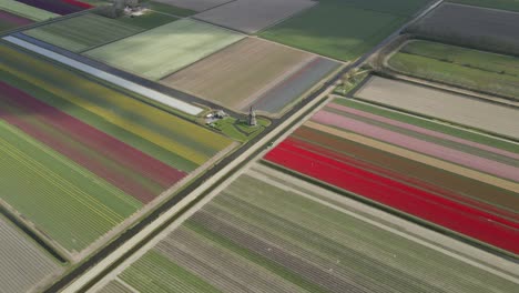 División-De-Parcelas-Agrícolas-En-Holanda,-Famosa-Agricultura-Holandesa,-Antena