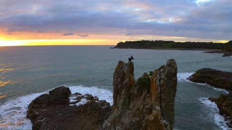 Orbiting-Aerial-Slow-Motion-view-of-Cathedral-Rocks-and-Cormorants-near-Kiama-Downs-at-Sunrise,-NSW,-Australia