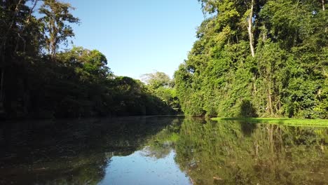 Traveling-with-a-boat-on-the-Tortuguero-Canal-,-discovering-the-lush-vegetation-reflected-into-the-clerar-river-water