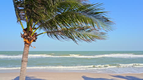 Einzelne-Kokospalme-Am-Strand,-Die-Sich-Tagsüber-Unter-Starkem-Wind-Auf-Der-Tropischen-Insel-Biegt,-Handheld-Zeitlupe