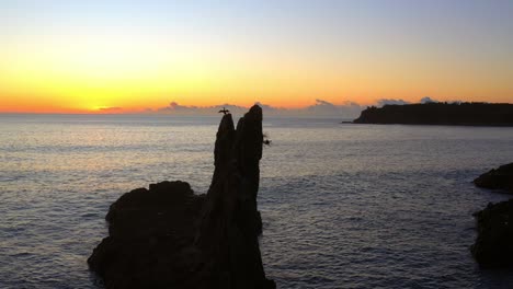 Cathedral-Rocks-Silhouette-With-Cormorant-moving-it's-Wings-At-Sunset-near-Kiama-Downs,-NSW,-Australia