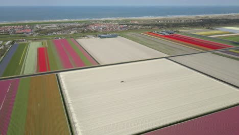 Ackerland-Von-Holland-Mit-Aufteilung-Der-Durch-Kanäle-Getrennten-Farmparzellen