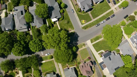 Top-Down-Aerial-View-of-Homes-in-Suburban-Neighborhood-Surrounded-by-Green-Trees
