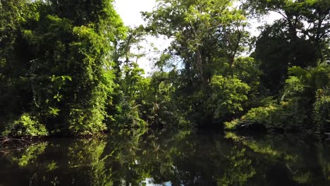 Aerial-drone-shot:-the-Tortuguero-Canals-in-Costa-Rica