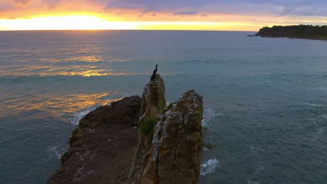 Cormorants-Guarding-their-Nest-On-Top-Of-Cathedral-Rocks-With-Scenic-View-Of-Sunrise-And-Seascape,-NSW-Australia---aerial-slow-motion-shot