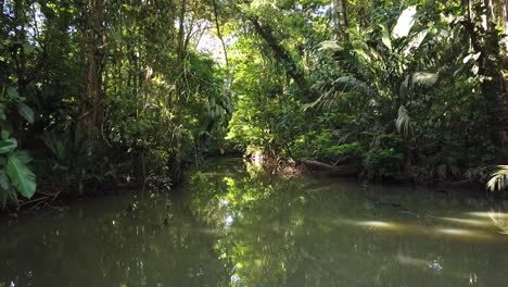 Mit-Einem-Boot-Durch-Den-Tortuguero-Kanal-Fahren,-Die-üppige-Vegetation-Und-Den-Intakten-Regenwald-Entdecken