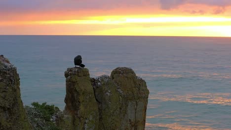 Cormorant-Perched-On-Cathedral-Rocks-While-Preening-With-Dramatic-Sunset-Sky-At-Background-In-Kiama-Downs,-NSW-Australia
