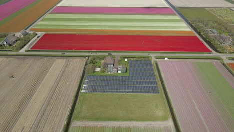 Farm-house-with-solar-panels-revealing-large-fields-with-colorful-tulips
