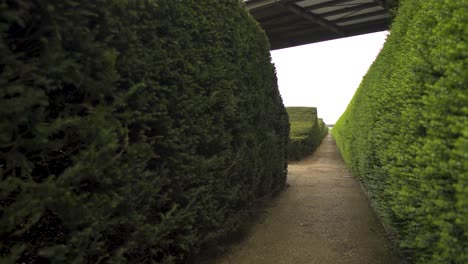 quick-movement-backwards-in-green-maze-located-in-london-horror-scene-scary-dramatic-following-path-nobody-around-cloudy-moody-weather-reveal-of-bridge-above-the-maze