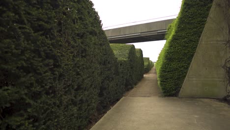 moving-towards-entering-green-maze-following-footpath-bridge-above-cloudy-weather-thriller-drama-suspense-feeling-no-people-around-abandoned-location-trimmed-bushes-in-wave-patterns-slow-motion