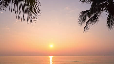 Goldener-Sonnenuntergang-über-Dem-Meer-Mit-Der-Palmenzweigsilhouette-Im-Vordergrund