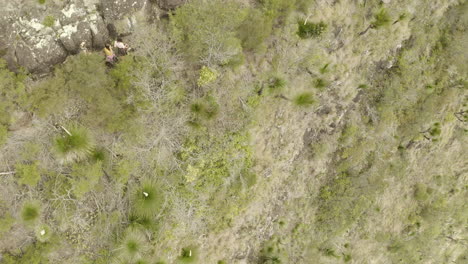 4K-Drohne-Oberaufnahme-Von-Wanderern,-Die-An-Der-Seite-Einer-Bergklippe-Im-Border-Ranges-Nationalpark,-New-South-Wales,-Australien,-Spazieren