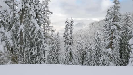 Filmische-Drohnenaufnahmen-In-Einer-Winterlandschaft-Mit-Vielen-Frischen-Schneebedeckten-Grünen-Bäumen-Und-Erstaunlichem-Sonnenlicht-Am-Besten-Pulvertag-Der-Saison