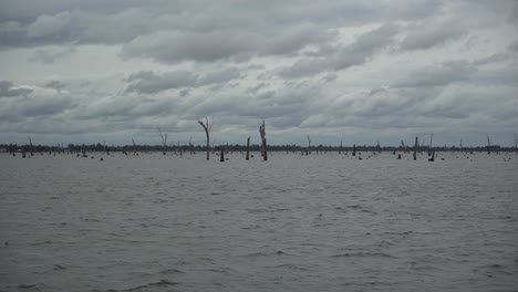 Australian-lake-with-trees-pan-right-on-windy-cloudy-rainy-day