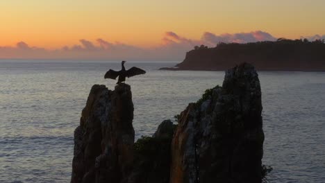 View-Of-Cathedral-Rock-With-Cormorants-Bird-On-Top-At-Sunset-In-Kiama-Downs,-New-South-Wales,-Australia---aerial-shot