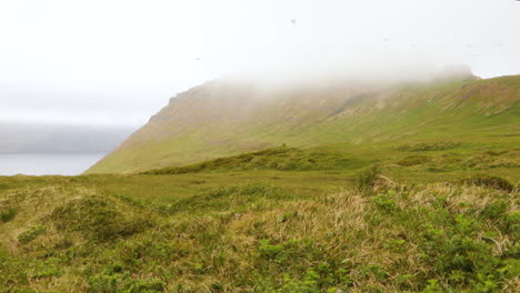 Hermoso-Paisaje-Verde-En-Las-Montañas-De-Hornstrandir,-Islandia---Estático