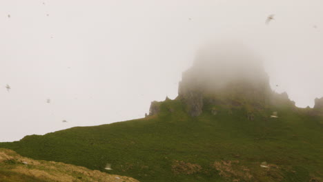 Península-De-Hornstrandir-En-Islandia-Bajo-La-Niebla-Con-Una-Bandada-De-Pájaros-Volando
