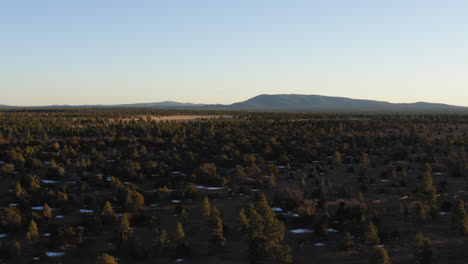 Aerial-flyover-Coconino-National-Forest-and-San-Francisco-Peak-in-background-during-sunset,Arizona