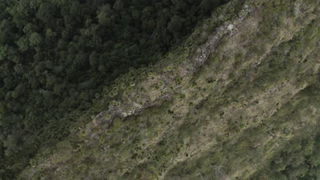 4K-drone-top-view-of-a-people-standing-on-a-mountain-cliff-at-Border-Ranges-National-Park,-New-South-Wales-Australia