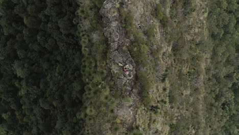 4K-Drohne-Draufsicht-Auf-Ein-Volk,-Das-Auf-Einem-Aussichtspunkt-Steht,-Aussichtspunkt,-Blick-Auf-Einen-Berg-Im-Border-Ranges-National-Park,-New-South-Wales,-Australien