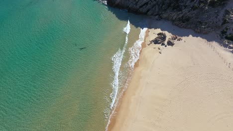 Luftaufnahme-Von-Klarem-Türkisfarbenem-Wasser-Am-Strand-Von-Su-Giudeu-In-Südsardinien,-Italien