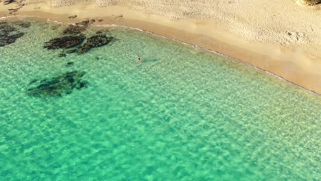 Aerial-shot-of-young-woman-walking-into-extremely-clear-turquoise-water-at-Teurredda-beach-in-South-Sardinia,-Italy-on-sunny-day