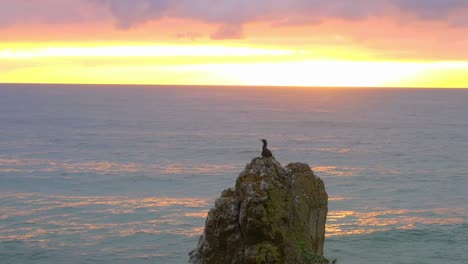 Ruhiger-Ozean-Hinter-Kathedralenfelsen-Mit-Wasservogel-Bei-Sonnenuntergang-In-Kiama-Downs,-Nsw,-Australien