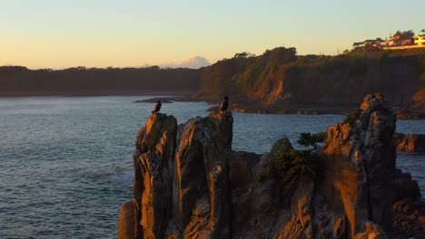 Birds-Resting-On-Dramatic-Basalt-Rock-Formations-Of-Cathedral-Rocks-At-Sunset-In-Kiama-Downs,-NSW,-Australia