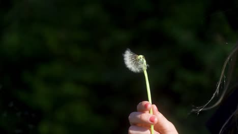 slow-mo-closeup-of-blonde-young-woman-raising-a-dandelion-clock-up-and-blowing-on-it
