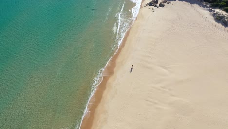 Aerial-backwards-flying-shot-of-clear-turquoise-water-at-Su-Giudeu-beach-with-a-couple-standing-in-the-sand-in-South-Sardinia,-Italy