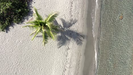 Beautiful-aerial-look-dow-view-over-crystalline-waters-of-Punta-Salinas-beach-seashore,-Peravia-Dominican-Republic