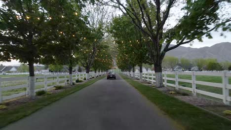 Newlywed-driving-the-car-down-in-the-road-with-trees-and-garland-lights