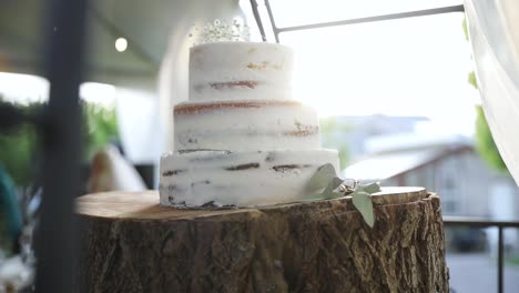 Three-Tier-Wedding-Cake-Set-On-A-Wooden-Log---selective-focus