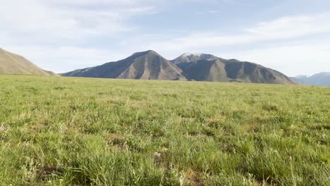 Meadow-And-Wasatch-Mountain-Range,-Spanish-Fork-Utah,-Low-Angle-Shot