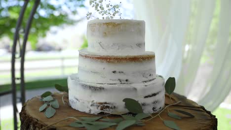 Wedding-Cake-Outdoors-On-Log,-Three-Tiers-With-Frosting---Orbit-Shot