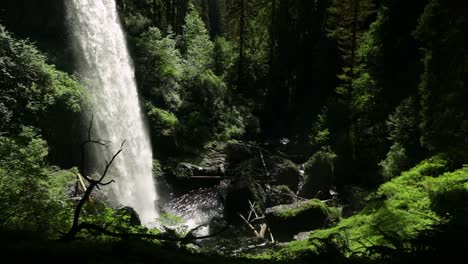 Beautiful-And-Powerful-Waterfall-In-The-Forest---North-Falls-In-Silver-Falls-State-Park,-Oregon,-United-States-Of-America---wide,-static-shot