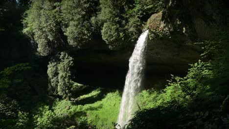 Scenic-View-Of-North-Falls-During-Spring-In-Silver-Falls-State-Park-In-Oregon---static-shot