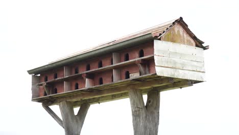 Wooden-Pigeon-House-For-Birds---close-up